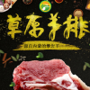 羊排 內蒙古草原生羊排羊肉 新鮮燒烤食材羊肋排火鍋食材