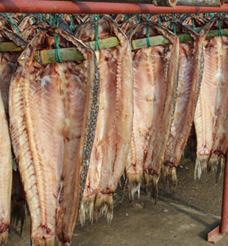 腌制咸青魚年貨 農家野生放養肉質鮮嫩肉制品 手工腌制咸魚