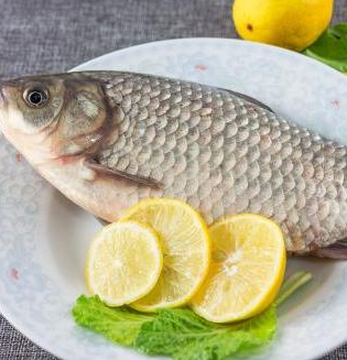 供應鯽魚鮮活鯽魚采購包郵