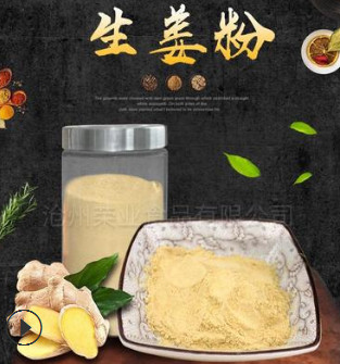 廠家直銷小黃姜粉 老姜粉 食用純姜粉 量大從優(yōu)