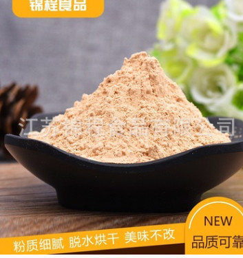 廠家直銷 調(diào)味香料洋蔥粉 香辛調(diào)味料洋蔥粉 量大價優(yōu) 品質(zhì)可靠