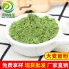 廠家大麥苗粉大麥若葉青汁粉麥綠素粉超細粉沖調飲品脫水大麥苗