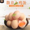 【30枚裝】全國專供土雞蛋河南批發(fā)新鮮雞蛋農(nóng)家散養(yǎng)土雞蛋笨雞蛋