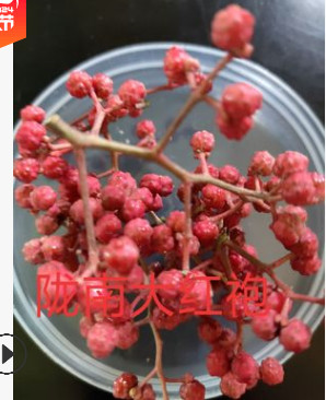 6.6元拿樣 兩件包郵 武都花椒 產(chǎn)地批發(fā)火鍋底料