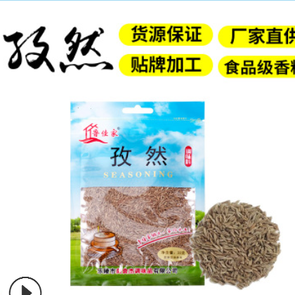 產地廠家直供 魯佳家 孜然粒30g 家庭小包裝 可貼牌定制代加工