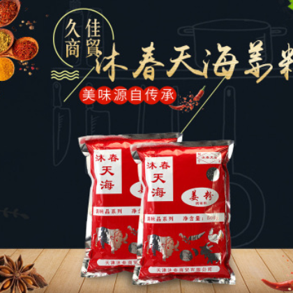 沐春天海姜粉 香辛料 姜粉 500g 庫存充足