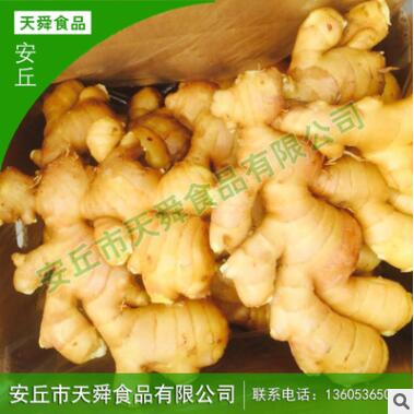 廠家批發(fā) 生姜 新鮮農(nóng)家生姜 食品級(jí)鮮姜