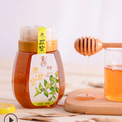 廠家直供 天然蜂蜜 原蜜500克農(nóng)家自產(chǎn)蜂蜜 OEM貼牌 棗花蜜