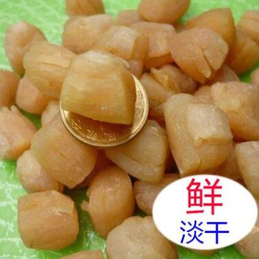 北海特產(chǎn)海產(chǎn)品海鮮特級元貝生曬淡干貝邊肉干貨丁瑤柱大干500g