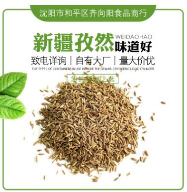 新疆燒烤料調味品 孜然 孜然粒燒烤烤肉調料 可磨粉500g